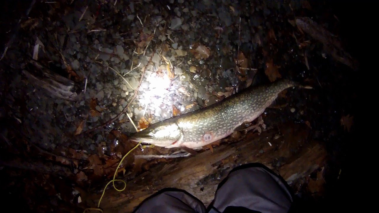 New Years Pike! (Seneca Lake 2019) 