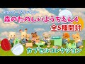 【1月新発売ガチャガチャ】森のたのしいようちえん4 全5種開封！【シルバニアファミリー】