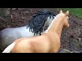 Schleich music video: Riding Free