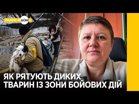 Wild animals during the war: how they are rescued and rehabilitated in Ukraine