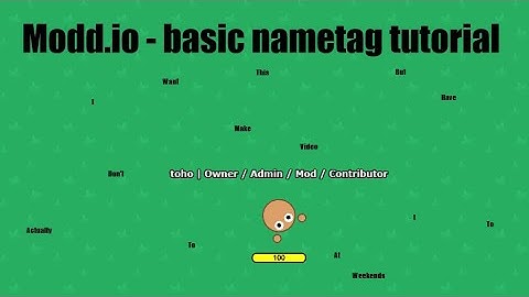 Modd.io - Basic Nametag Tutorial