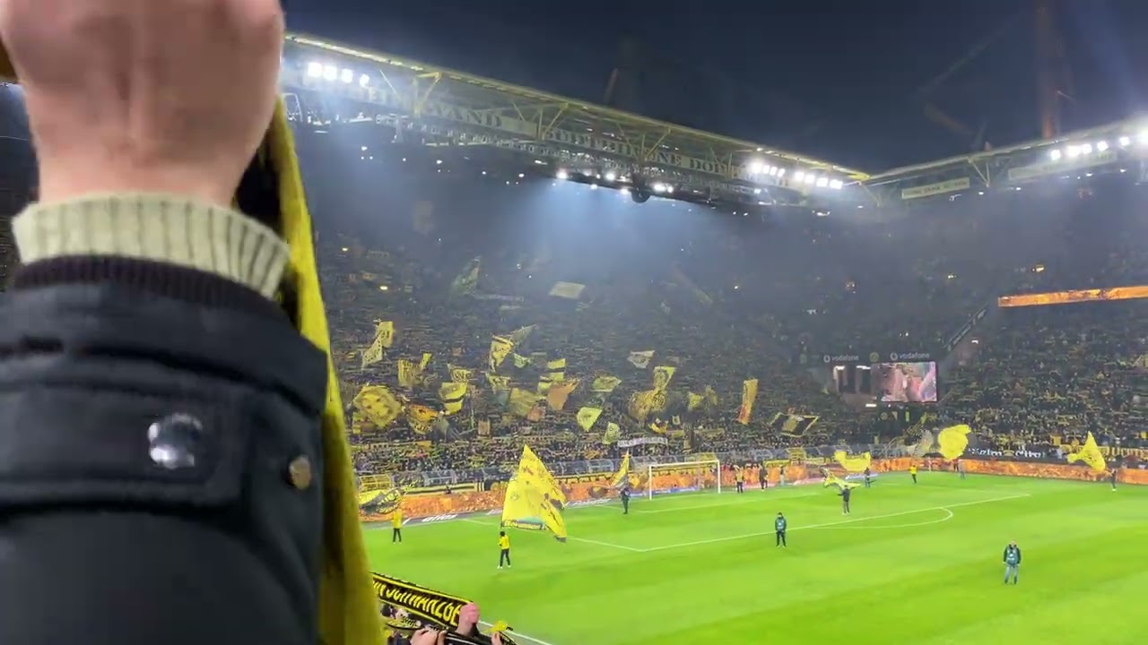 You‘ll never walk alone BVB fans ⚫️🟡