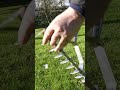 How to scarify a lawn by hand 💪