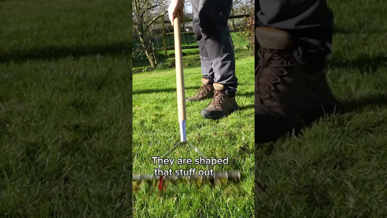 How To Scarify A Lawn By Hand 
