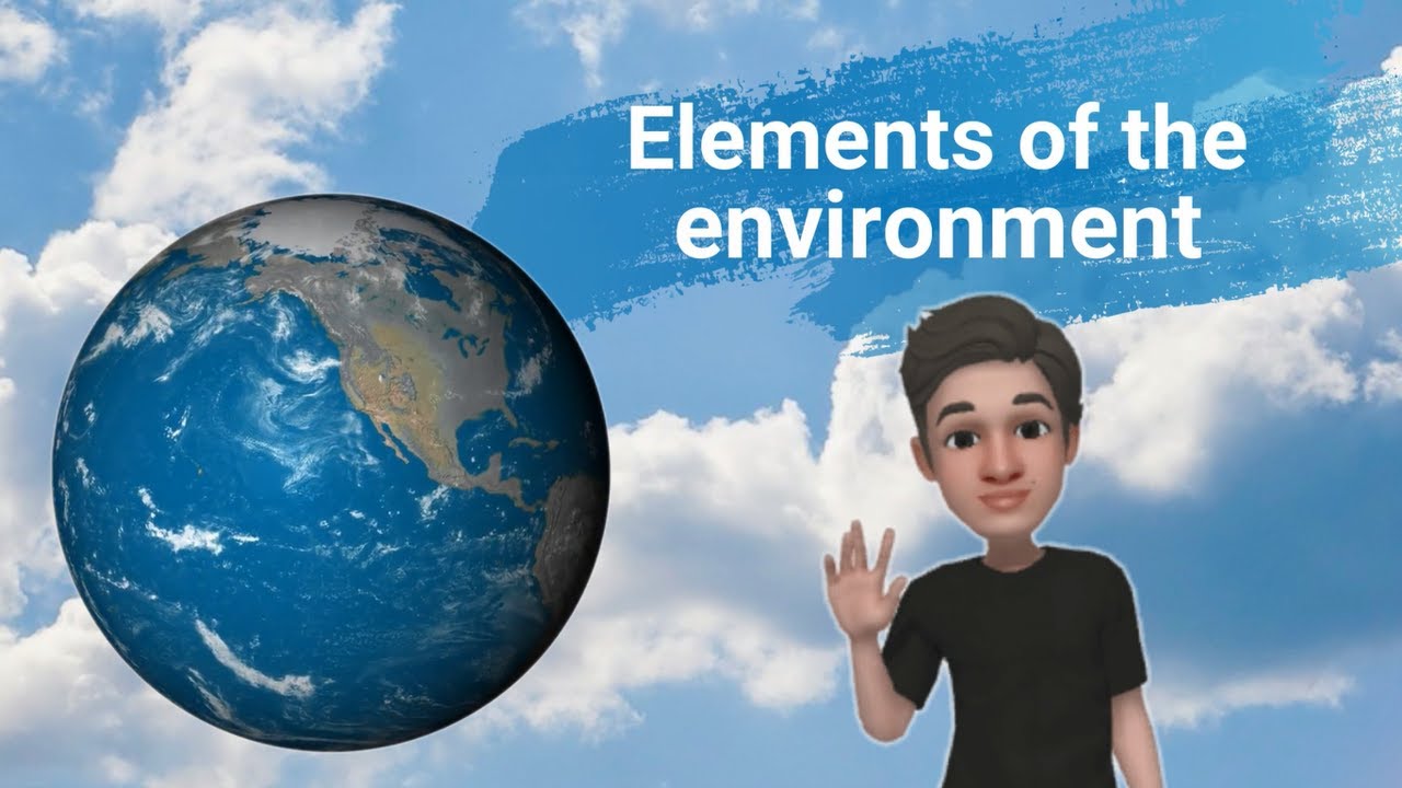 🌴🎍 ELEMENTOS del MEDIO AMBIENTE en INGLÉS - [INGLÉS para NIÑOS