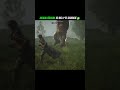 Curse vs Cabbage