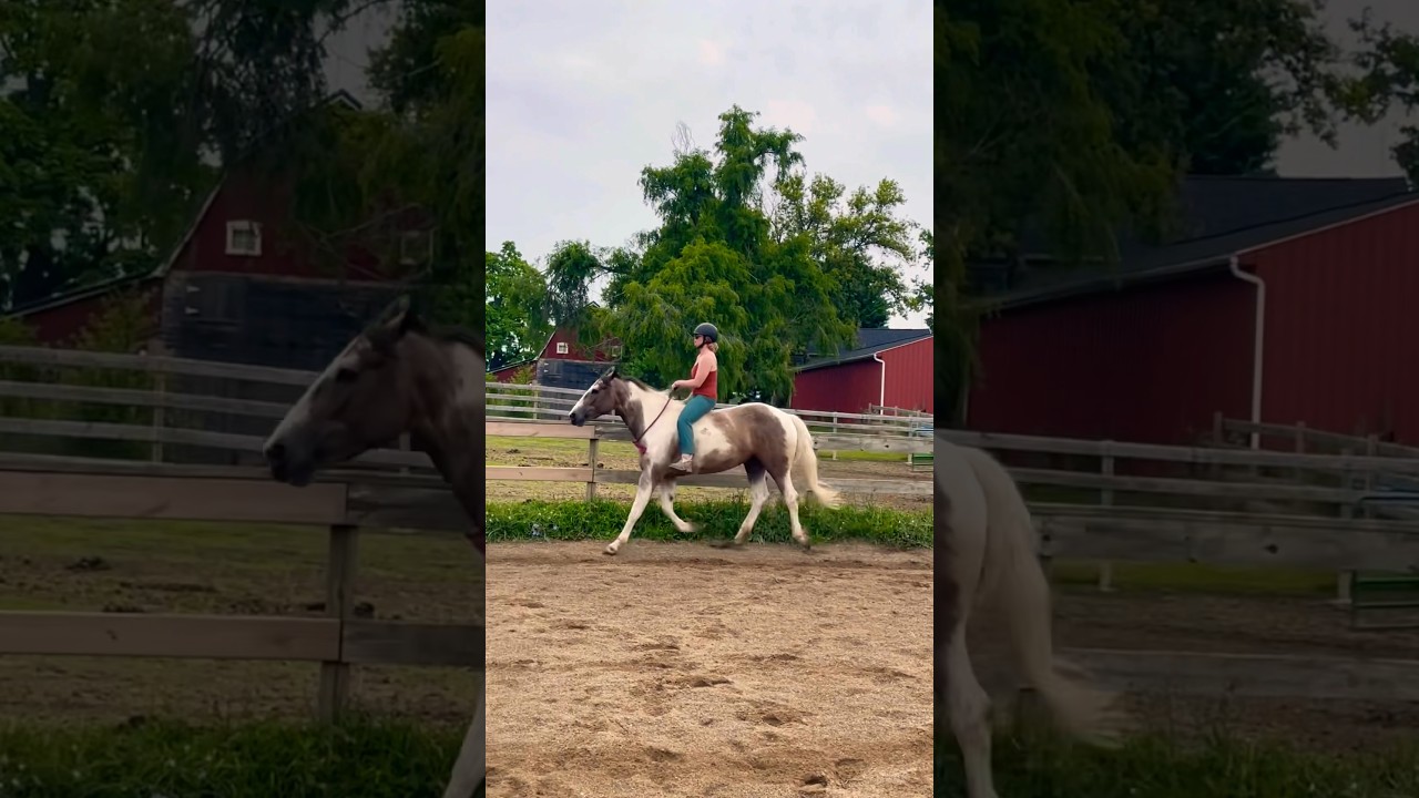 Riding My Horse With NO Saddle or Bridle! 🐴💞