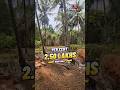 Plot for sale in Kozhikode Chelannur | #realestate #landforsale #propertyforsale #plotforsale #land