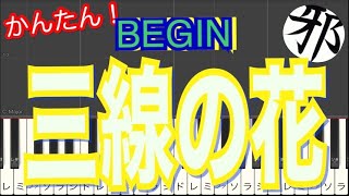 BEGIN／三線の花 ピアノ　簡単ver サビ　ビギン