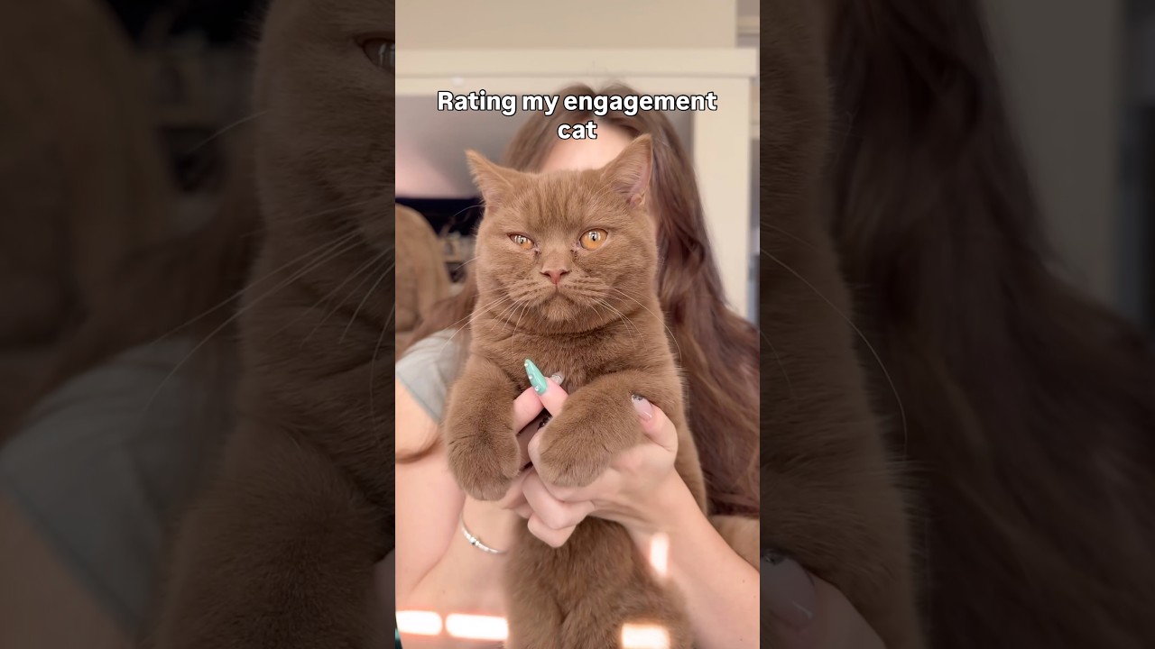 Rating Cosmic coffee bean ✨