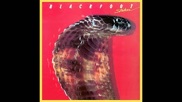 Blackfoot, "Left Turn on a Red Light"