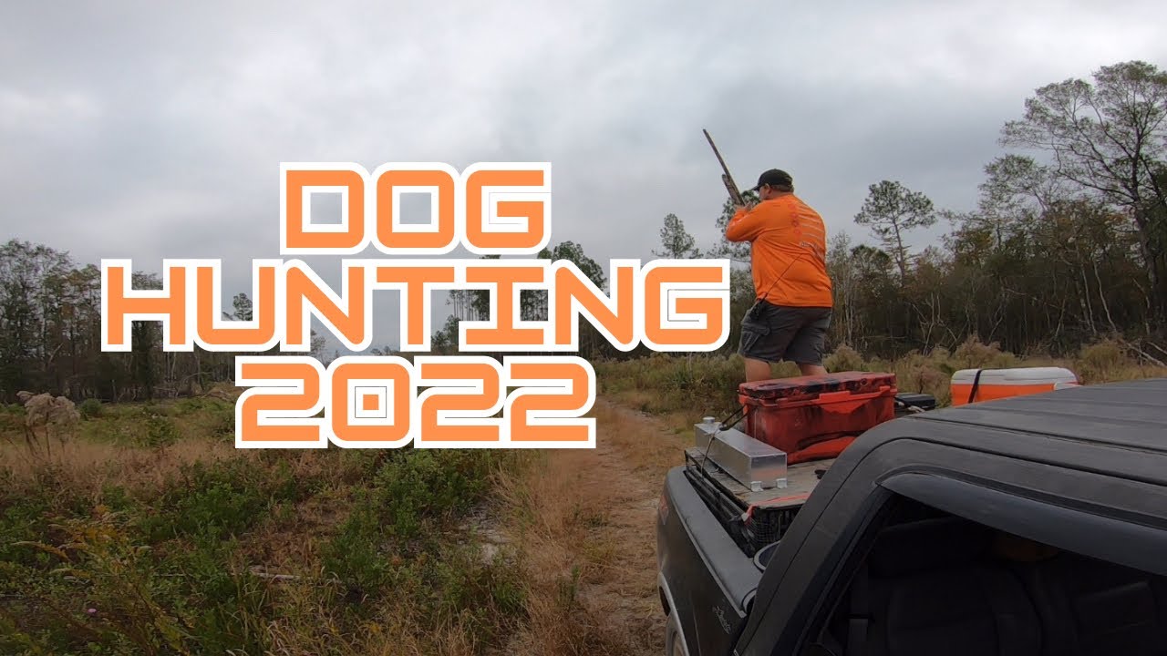 Deer Dog Hunting 2022 Dog Hunting with Kids! YouTube