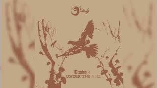 Free Fall by Ok Goodnight (Concert Version)