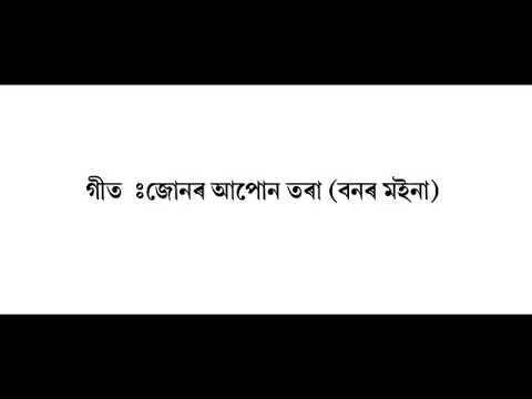 Assames  song Junor Apun tora ANAMIKA ENTERTAINMENT