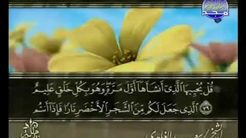 الجزء الثالث والعشرون  من القرآن الكريم  بصوت  الشيخ سعد الغامدي