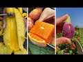 Farm Fresh Ninja Fruit Cutting | Oddly Satisfying Fruit Ninja #09