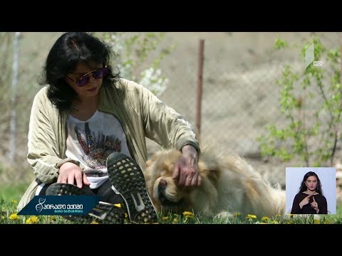 #პირადიექიმი მე დავამარცხე კიბო - ნუნუს ისტორია