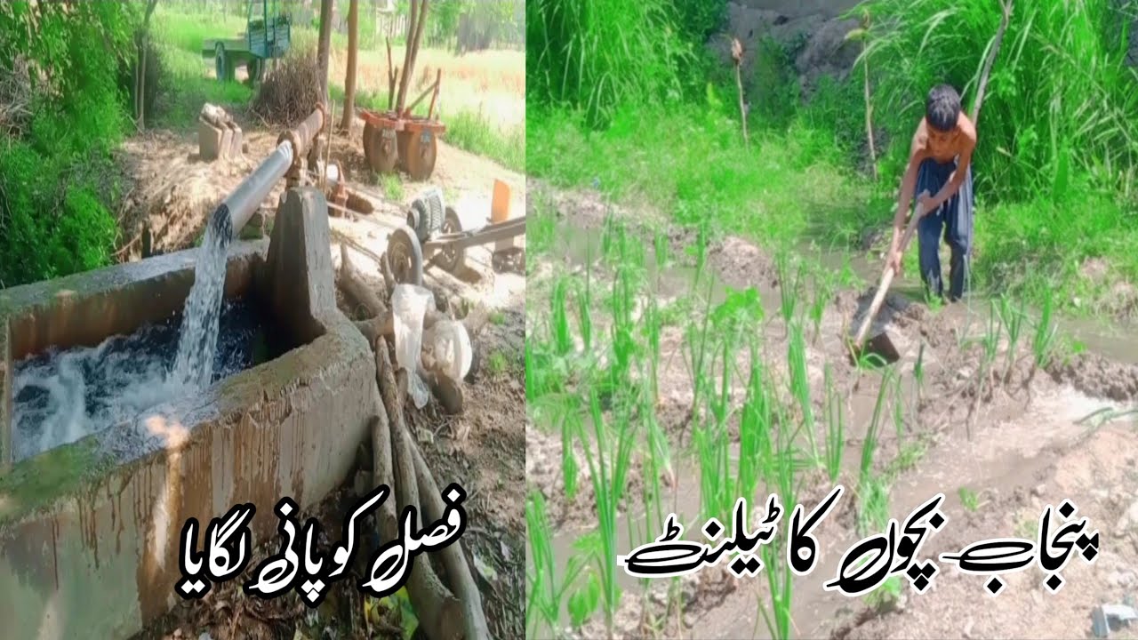 Punjab bachchon ka talent faslon ko pani lagaya| Azam saraiki - YouTube