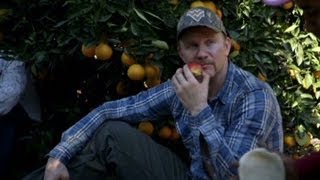 Inside Man: Life of a migrant farmer