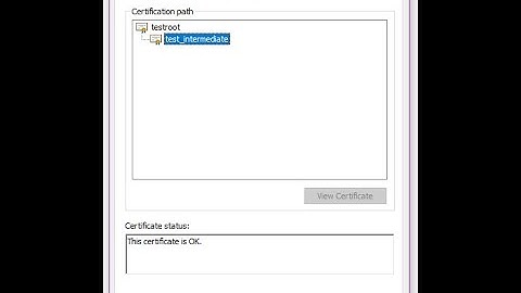 SSL Certificate on Local Area Network using Openssl and Node Js