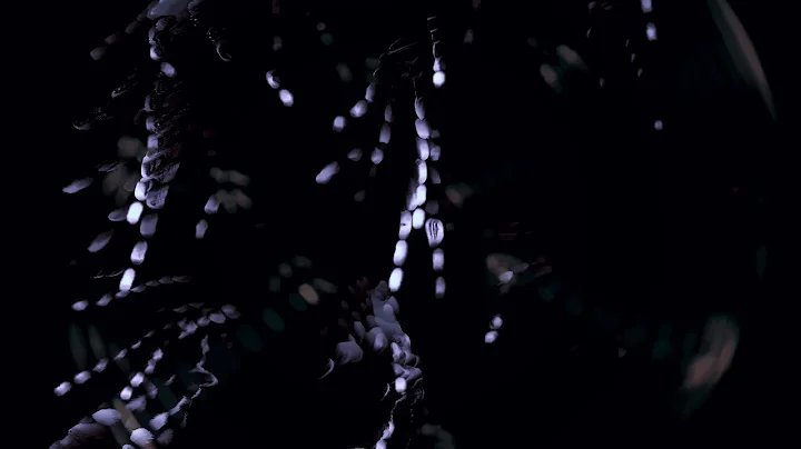 Frances Shelley | Evening Star (Alexandra Hamilton...