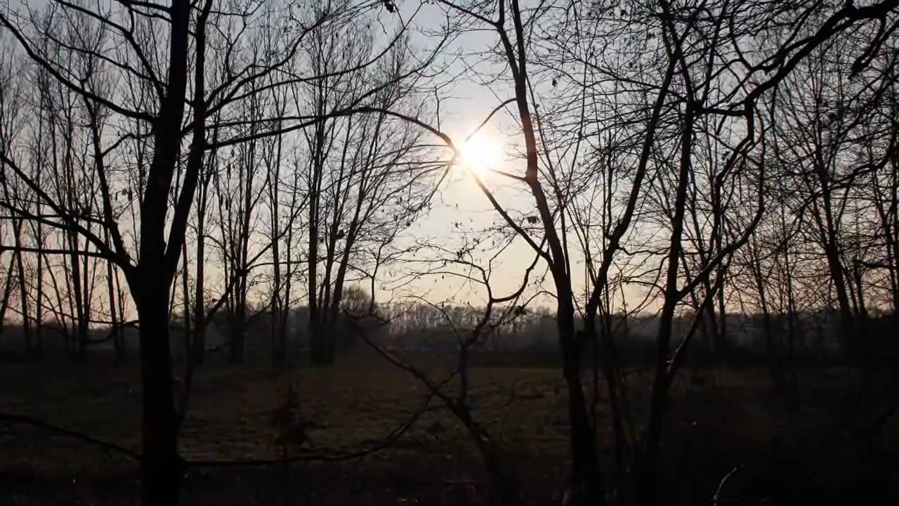 Photography Reel #1 - Canon EOS 550D / T2i