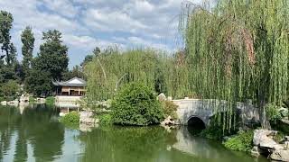 Huntington Library China Garden