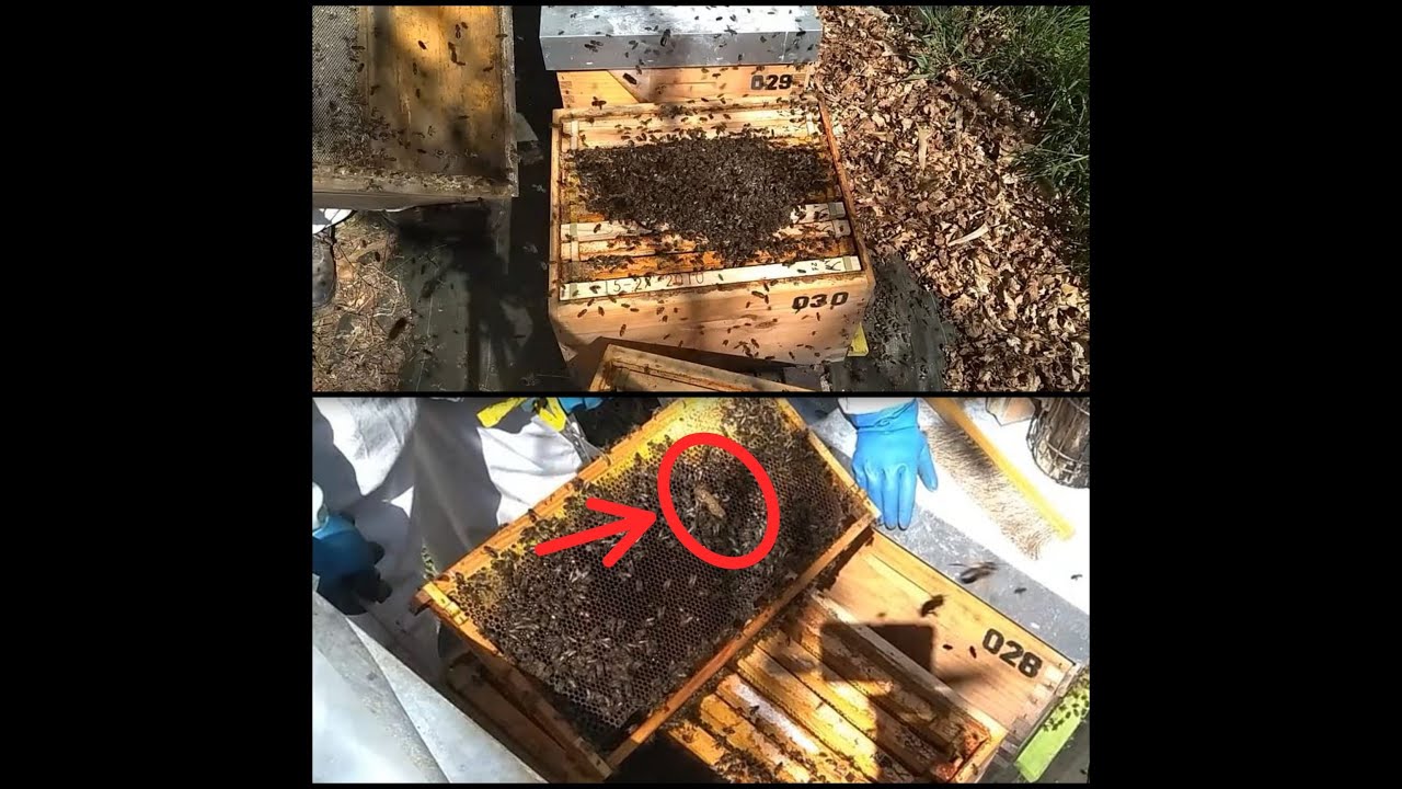 REVISIÓN 14-04-2022 Celdas reales diferentes y que se puede hacer