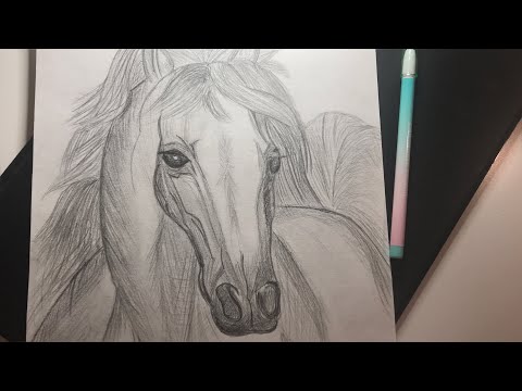 Как нарисовать лошадь/How to draw a horse/ART Studio