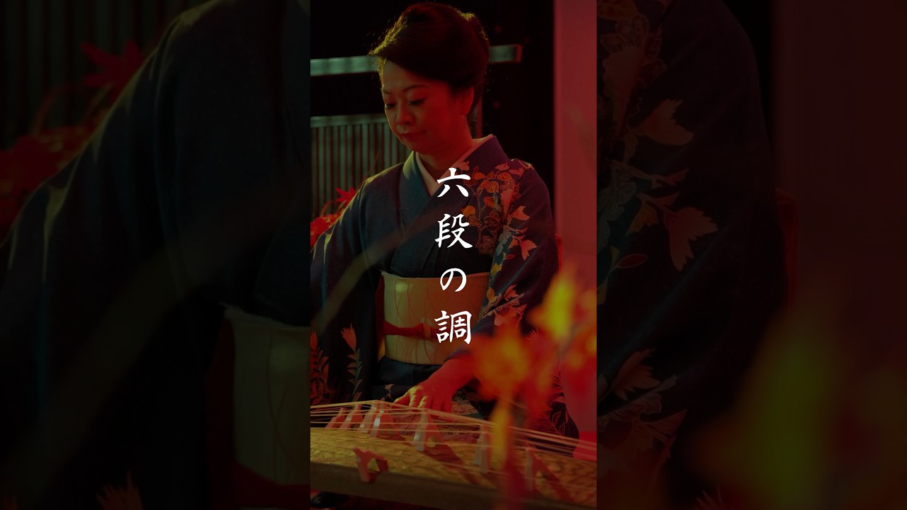 Japanese Koto / Rokudan no Shirabe #shorts #八橋検校#六段の調#伝統音楽 #箏#琴