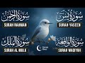 Very Nice Voice Surah Yaseen Surah Rahman Surah Waqiah Surah Mulk L Reciter Ashraf Hussain 150 Very Nice Voice Surah Yaseen Surah Rahman Surah Waqiah Surah Mulk L Reciter Ashraf Hussain 150