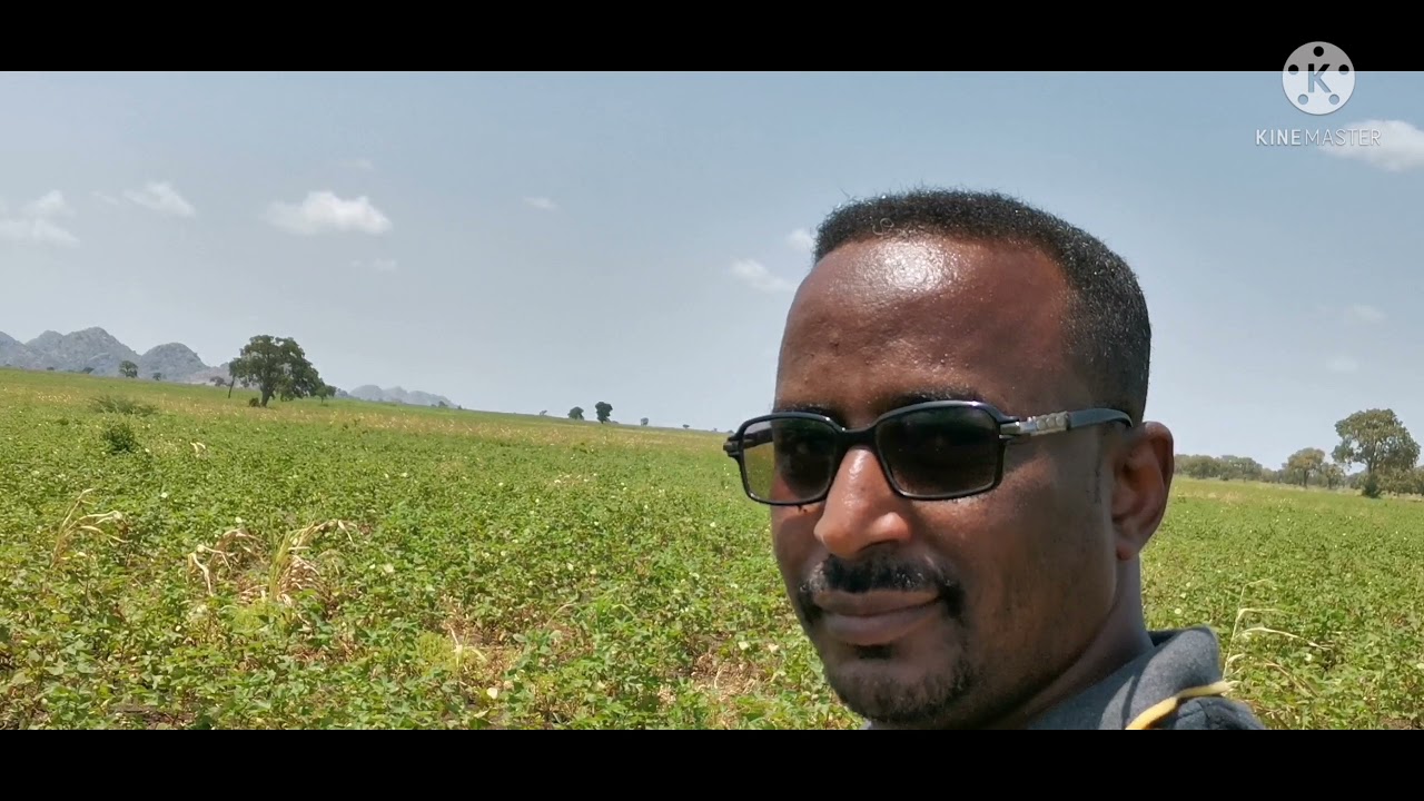 رحلة رورو وأحمر رورو ٢٠٢١م