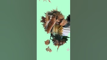 I recreated Ben Tk ink splash effects from india vlog video. @Benn_TK  #india #aftereffects #viral