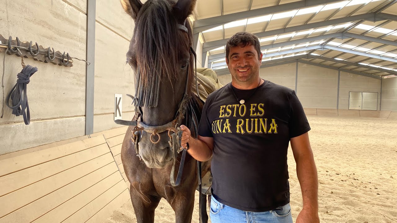 Hoy hemos visitado a Viriato y la ganadería de avileñas de Julián Jiménez.