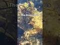 The Ocean In Us - poem by Mike Nelson. Music by David Tonkin