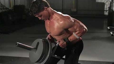 T Bar Row with Handle  Exercise Videos & Guides  Bodybuilding com