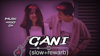 Gani ( Slowed   Reverb ) Akhil | Lofi song 2024 | Punjabi Lofi | Lofi Feelings | #lofimusic #1m