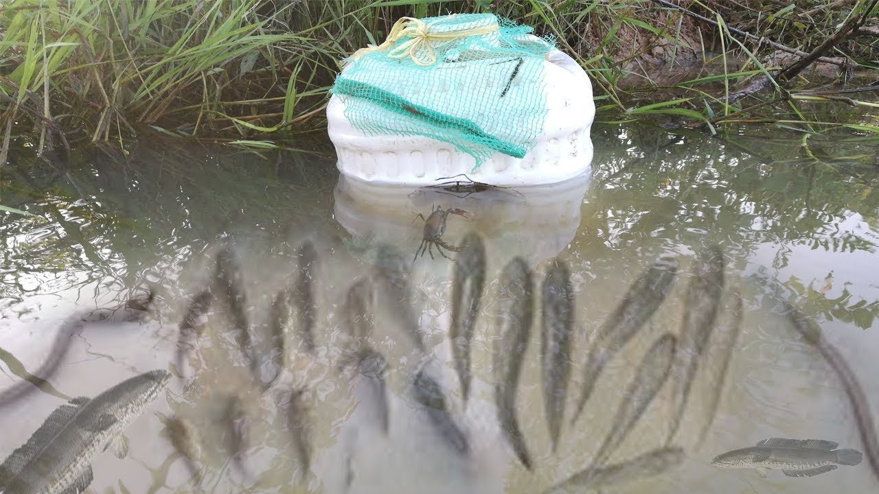 Fishing With Plastic Bottle How To Fishing With Plastic Bottle In