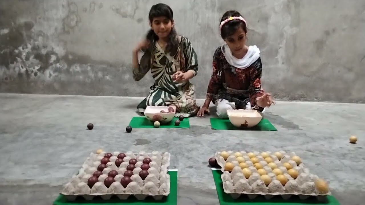 Egg Tray Challenge ||Who Fills the Egg Tray First? – Speed Challenge Begins ||