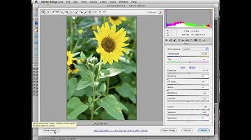 Camera Raw in Photoshop and Elements. Adobe Camera Raw Plugin.