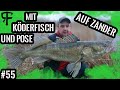 So wird`s gemacht, mit Köderfisch und Pose auf große Zander #Johnny meets Daniel