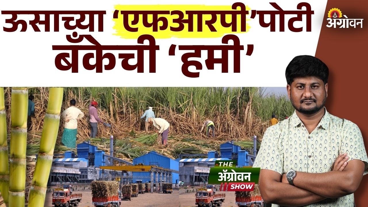 Sugarcane FRP : उसाच्या एफआरपीसाठी दहा कोटींची बँक हमी | Agrowon