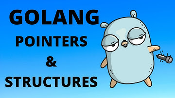Golang Pointers & Structures
