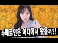 수메르인은 외계인일까? 수메르문명의 미스터리★한나TV