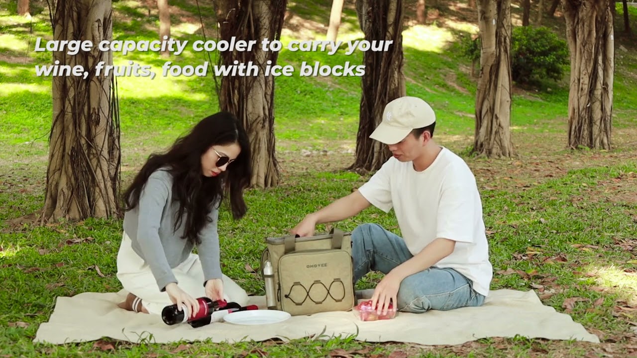 Fantastic Insulated Cooler Bag for Your Picnic Camping Beach