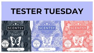 Tester Tuesday Black Tie Affair Kindness and Strength Scentsy Reviews