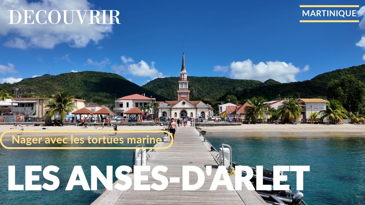 Nager avec les tortues en Martinique aux Anses d'Arlet