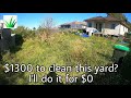 This lady was quoted $1300. I charged her nothing. HUGE yard clean up