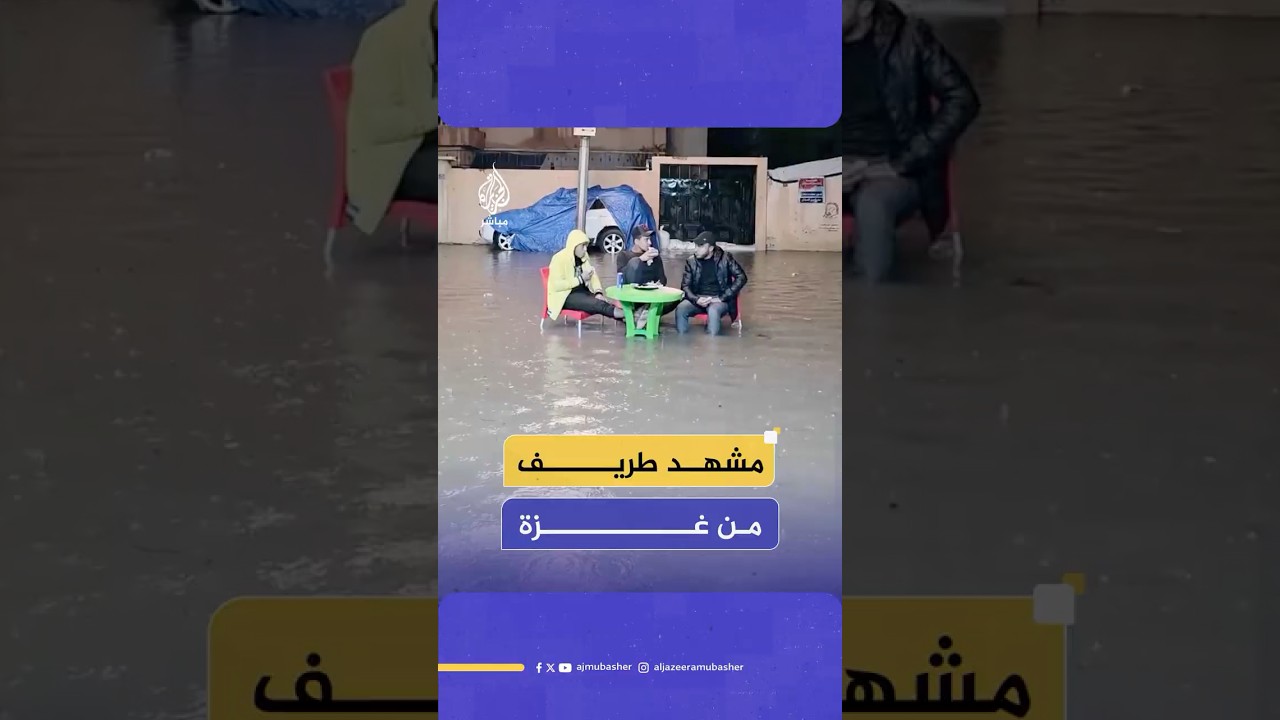 رغم آلام النزوح ووسط مياه الأمطار.. مشهد طريف من شوارع مدينة غزة