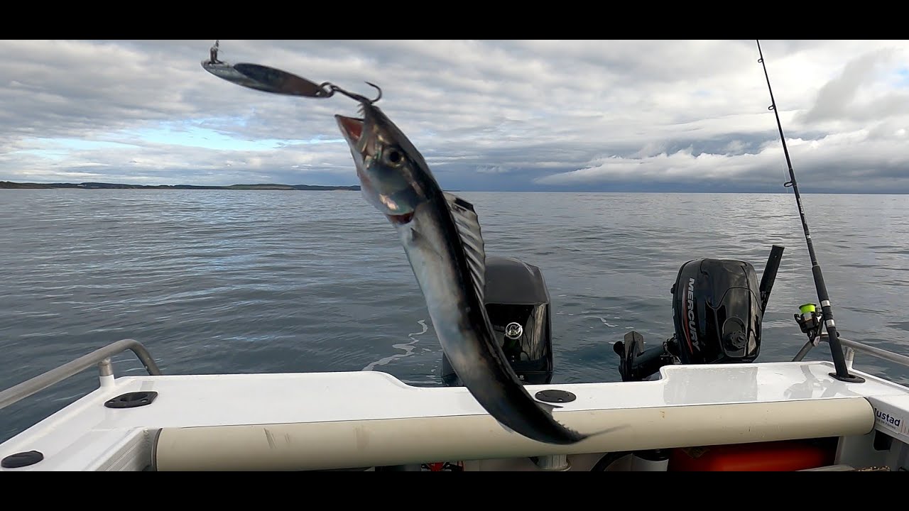 Bridport Fishing Flathead and Barracouta Galore Fishing Tasmania 27.02.2023 YouTube